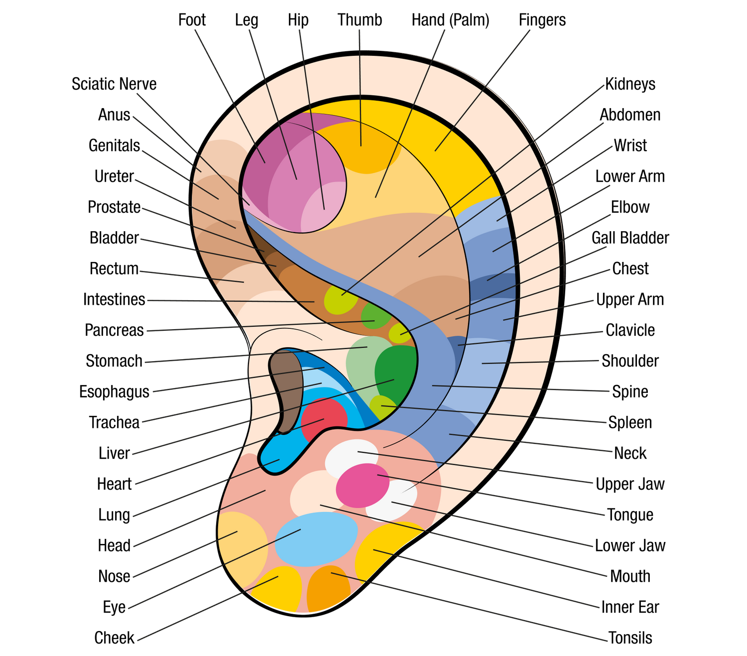 BeautiSeed™ - Stress Relief Acupressure Bud